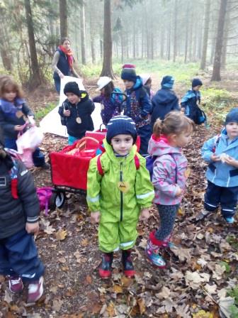 Wald 3